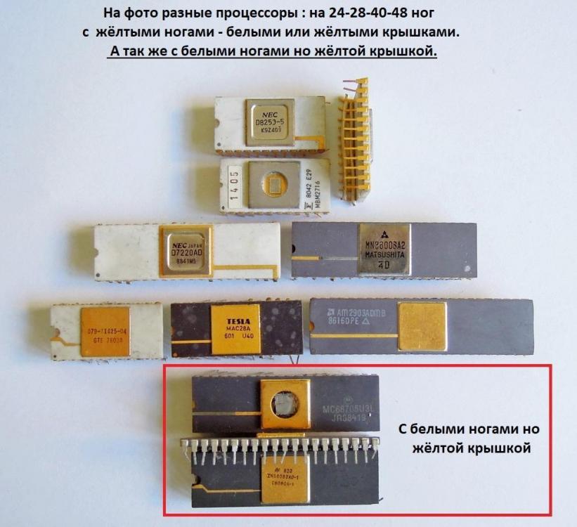 Процессор 24-48 ног разные.JPG