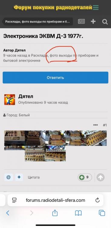 IMG_2208.jpeg