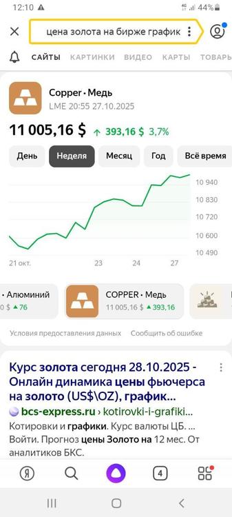 Screenshot_20251028-121008_Yandex.thumb.jpg.e8460fa5f6f9bd33306b5cf85c8f1b8f.jpg
