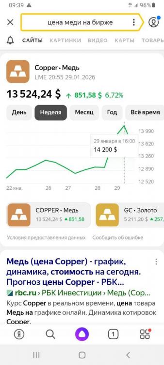 Screenshot_20260130-093945_Yandex.thumb.jpg.d7bf4454771c9dce852dd1743af8c7b7.jpg