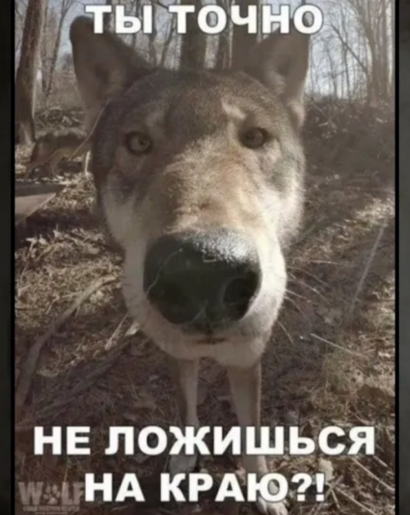 Screenshot_20260329-182602.png